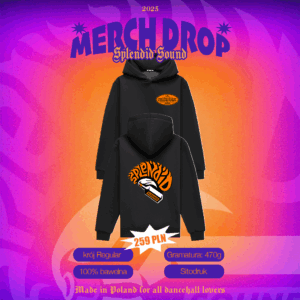 REGULAR HOODIE | Splendid Sound